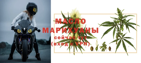 индика Арсеньев