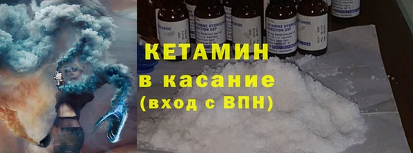 индика Арсеньев