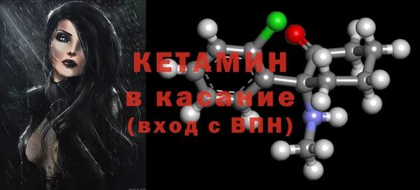 индика Арсеньев