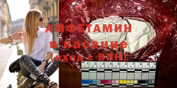 индика Арсеньев