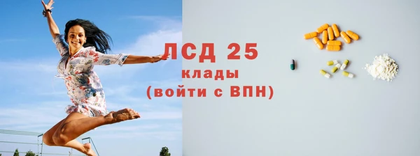 индика Арсеньев