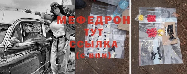индика Арсеньев
