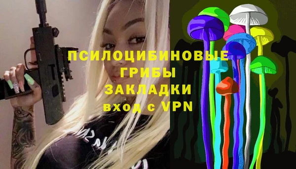 индика Арсеньев