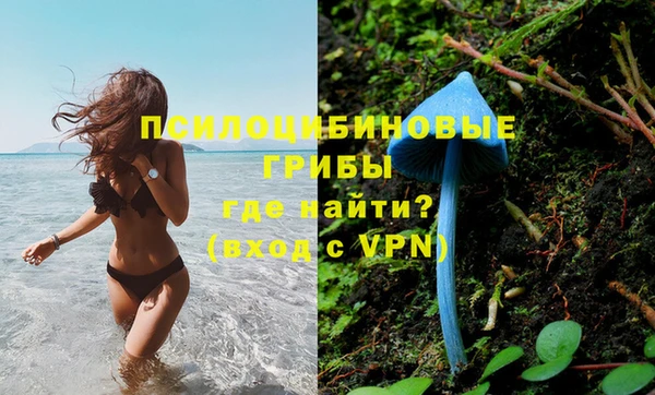 mdpv Аркадак