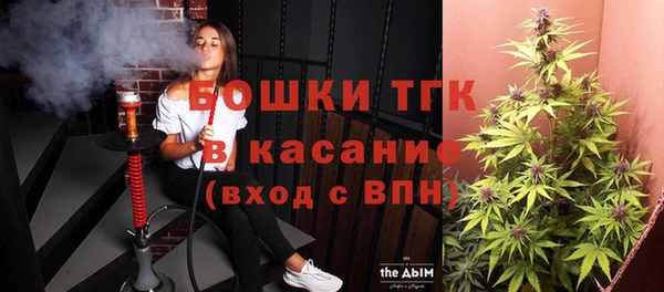 индика Нея