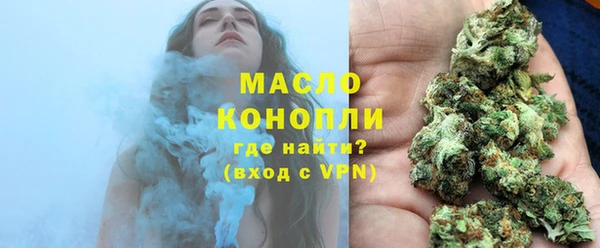 индика Арсеньев
